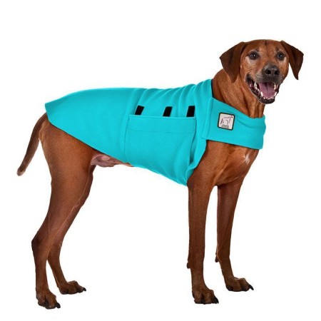 Tummy Warmer | Rhodesian Ridgeback | Türkis