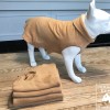 Double Jogger  |  CAMEL