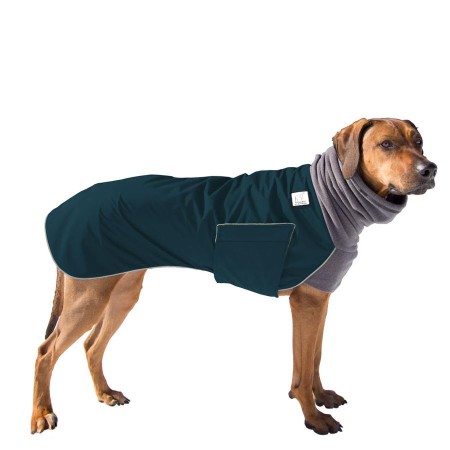Hundemantel | Rhodesian Ridgeback | Petrol
