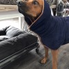 Hundebademantel | Navy/Cognac