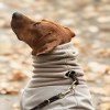 COSY HOODIE | Rhodesian Ridgeback | Taupe / Taupe