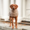 COSY HOODIE | Rhodesian Ridgeback | Taupe / Taupe