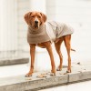 COSY HOODIE | Rhodesian Ridgeback | Taupe / Taupe