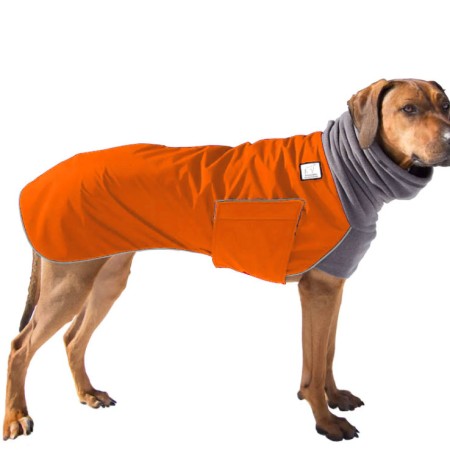 Hundemantel | Rhodesian Ridgeback | ORANGE