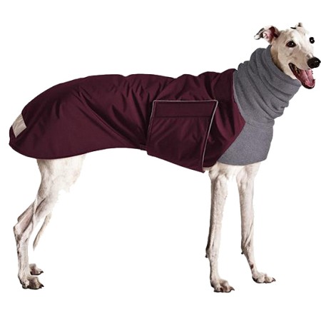 Windhundmantel | Winter | GREYHOUND Galgo | Burgunder