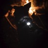 Orbiloc | Sicherheitslicht | Weiß