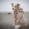 Orbiloc | Sicherheitslicht | Weiß