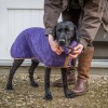Hundebademantel | Purple