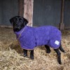 Hundebademantel | Purple