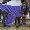 Hundebademantel | Purple