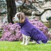 Hundebademantel | Purple