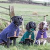 Hundebademantel | Green