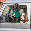 Hundebademantel | Green