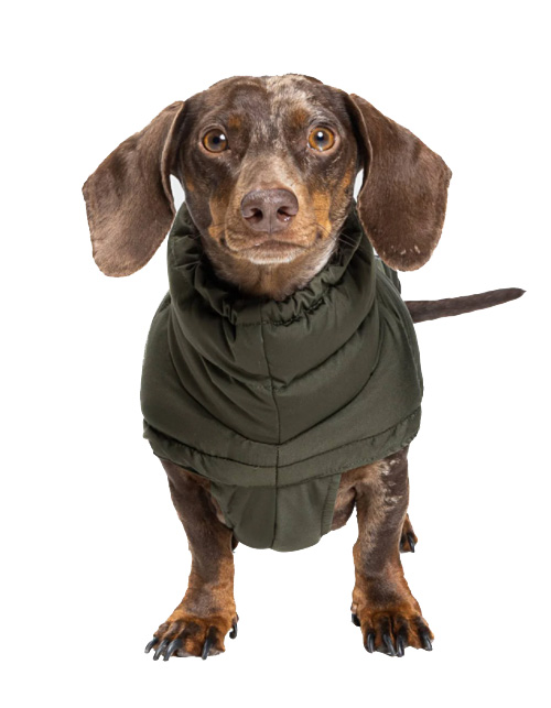Dogs Inn - Manufaktur | Hundemantel | ALASKA | OLIVE | DACKEL | Dogs Inn  - Manufaktur