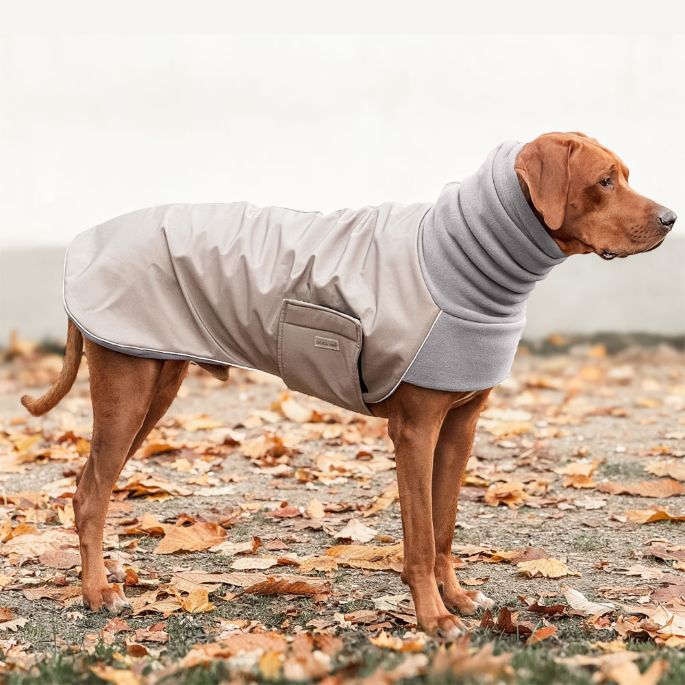 Dogs Inn - Manufaktur | COSY HOODIE | Rhodesian Ridgeback | Taupe /  Charcoal | Dogs Inn - Manufaktur
