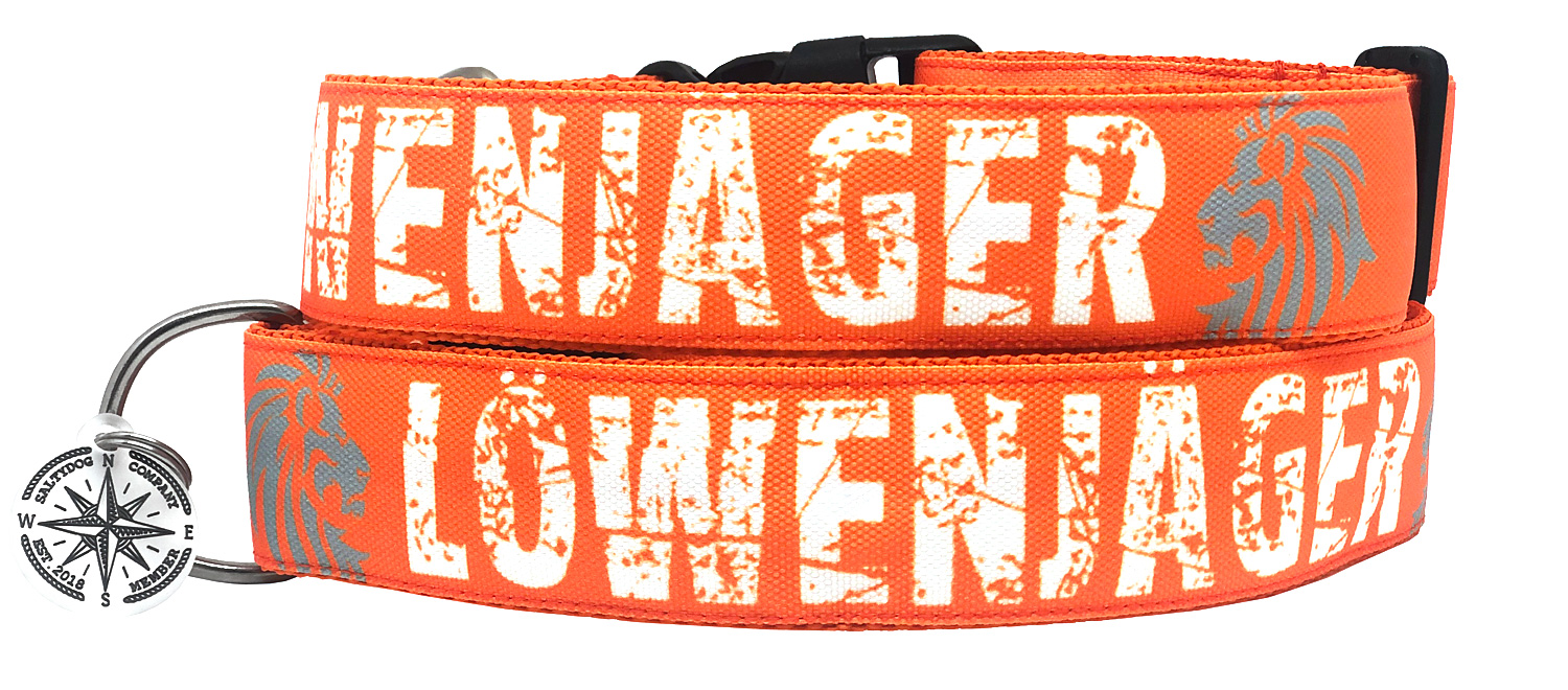 Dogs Inn - Manufaktur | SALTYDOG  Lwenjger | Orange | Dogs Inn -  Manufaktur