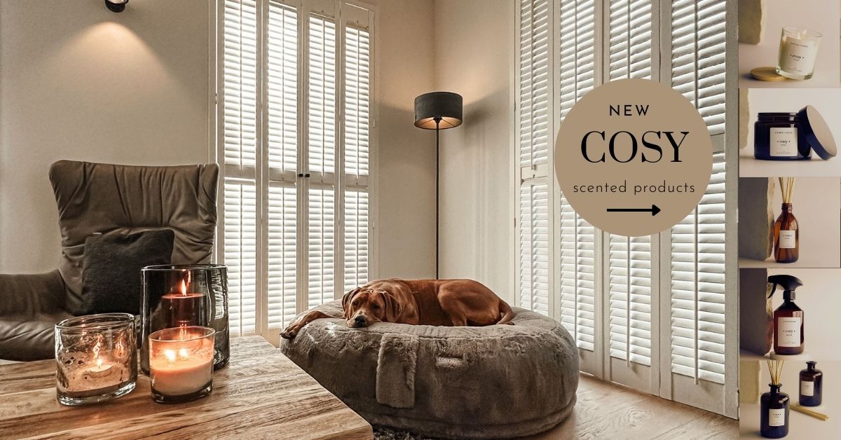 Banner Ludwig COSY