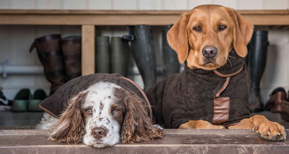 Hundebademantel