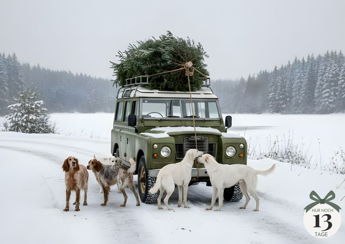 00  Banner  Landrover XMAS