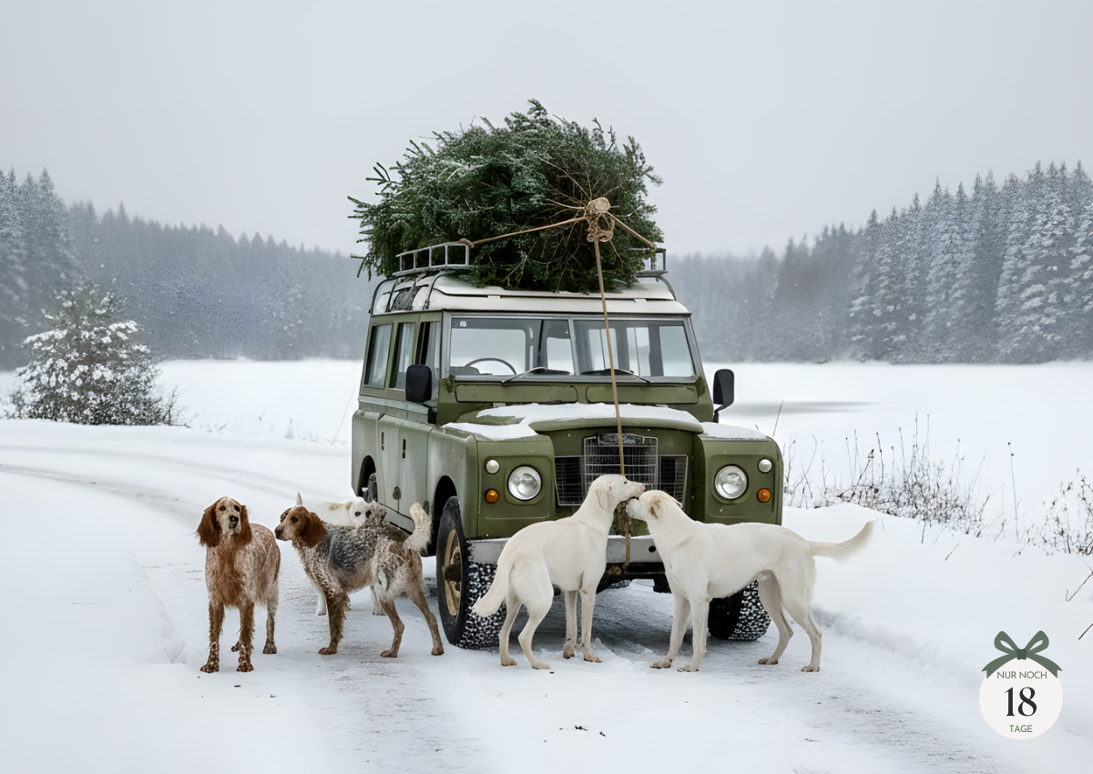 00  Banner  Landrover XMAS