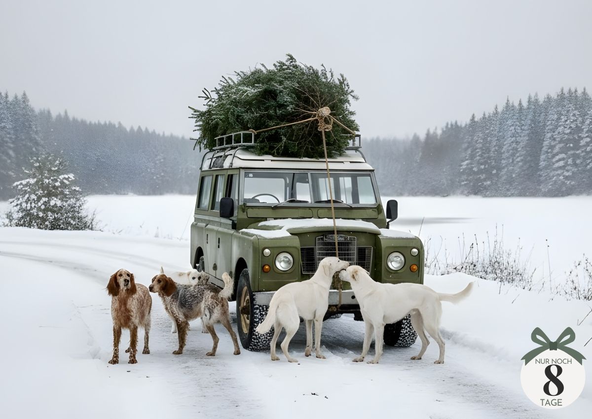 00  Banner  Landrover XMAS