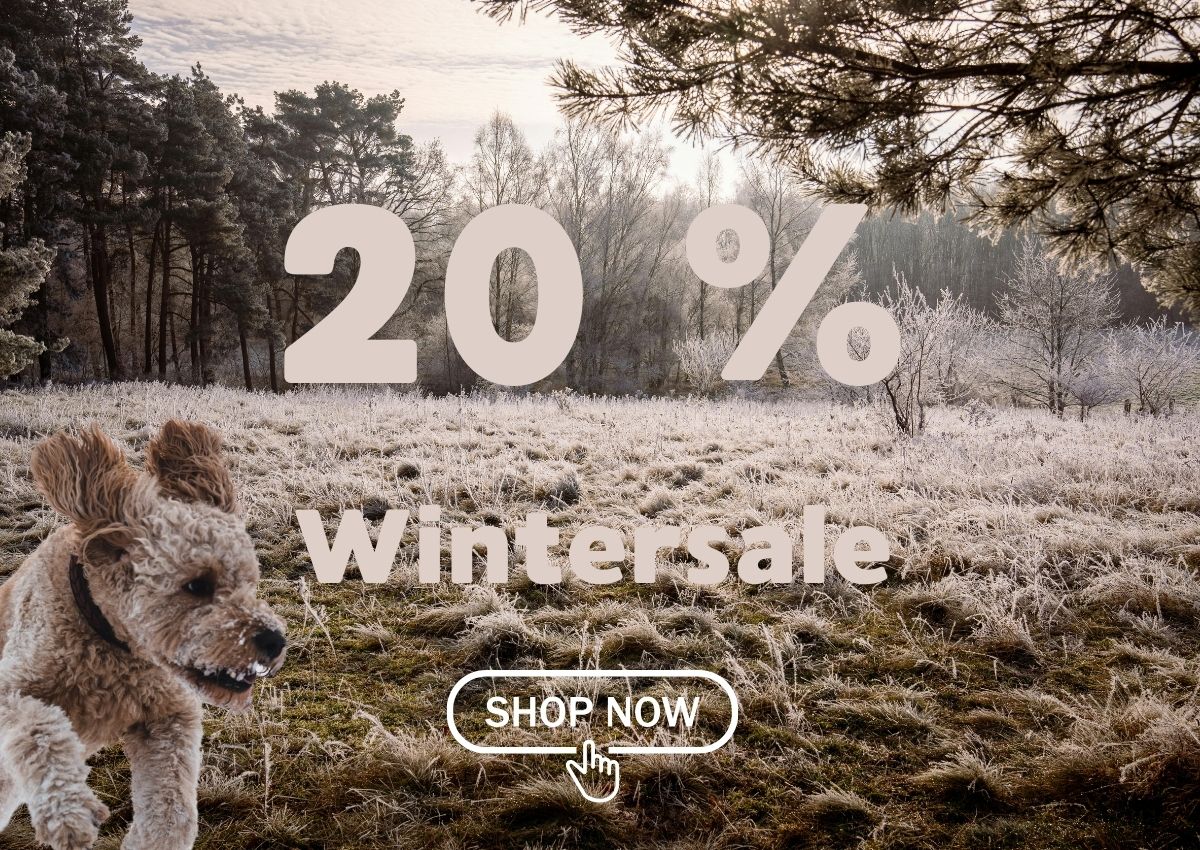Wintersale