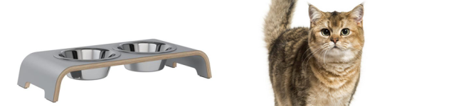 catbar
