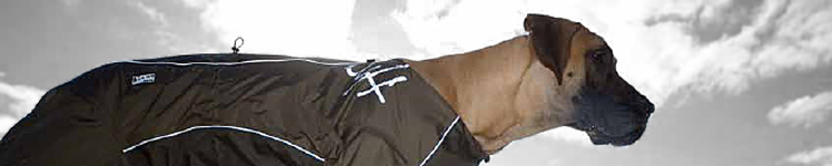 Manteau de chien