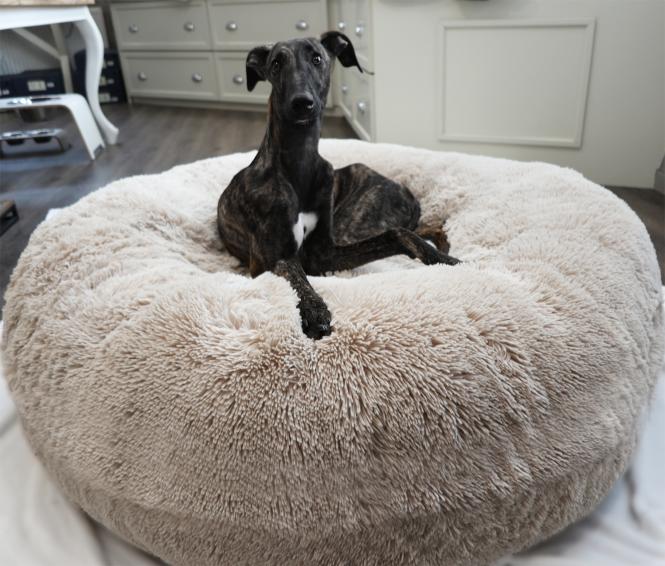 COSYBED Air Longhair SAND * N E U