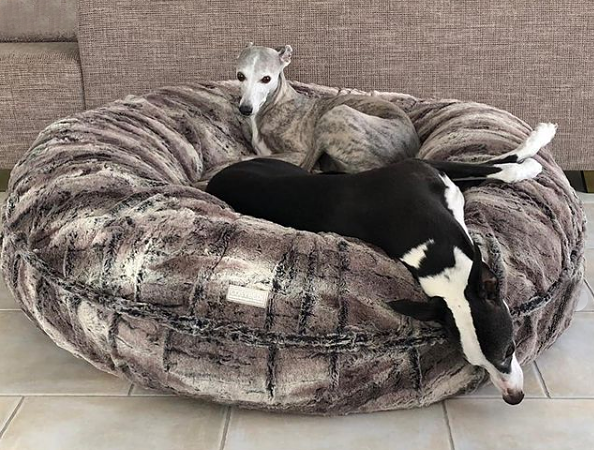 Dogs Inn® Online Shop COSYBED Air Fake Fur ARCTIC Chipmuk