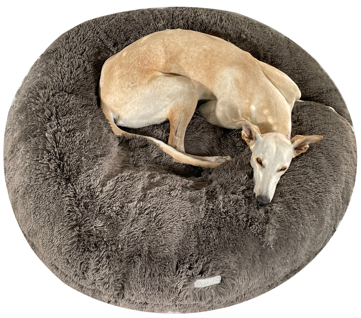 Dogs Inn® Online Shop COSYBED Air Longhair TAUPE Dogs Inn