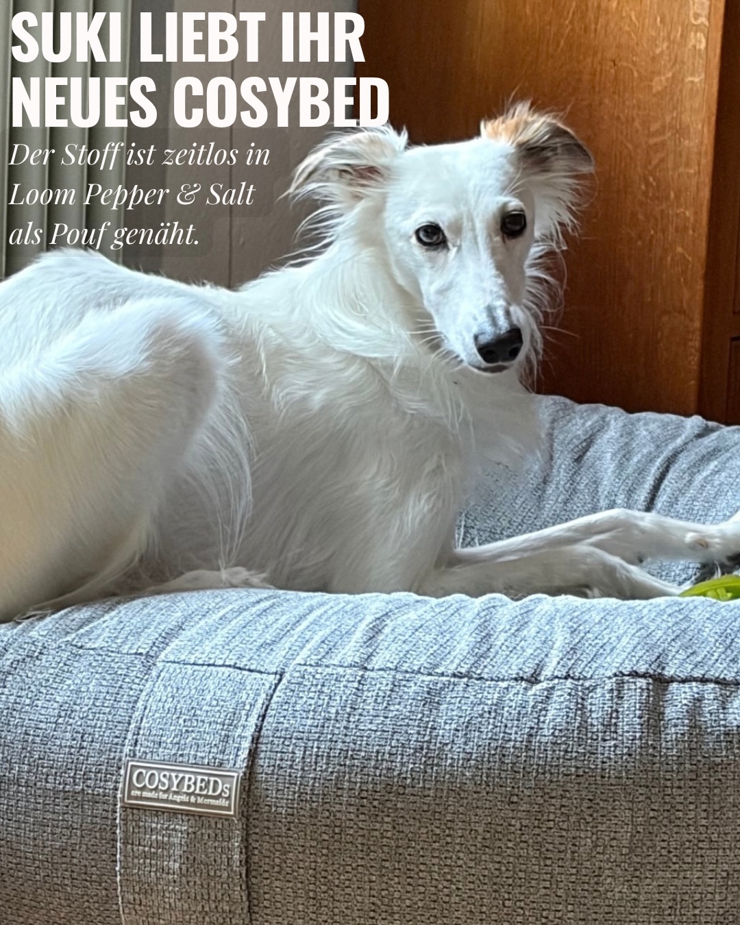 Suki macht’s sich cosy! 🤍
Silken Windsprite Suki im neuen COSYBED Pouf im zeitlosen Stoff Pepper & Salt.
Vielen Dank für die schönen Fotos und Euer Feedback – wir freuen uns sehr über solche Einblicke! 🐾
#COSYBED #DOGsINN #SilkenWindsprite #Hundebett #whippet