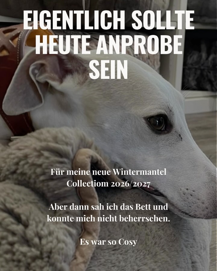 Als Whippet habe ich natürlich einen großen Kleiderschrank. Heute habe ich die neue Mantel Collectiom Winter 26 bekommen. Die Anprobe hat mich ganz schön gelangweilt. Viel schöner war es für mich im Cosybed zu liegen und Alles zu beobachten.
#dogsinn #hundemäntel #whippet #windhund #galgo