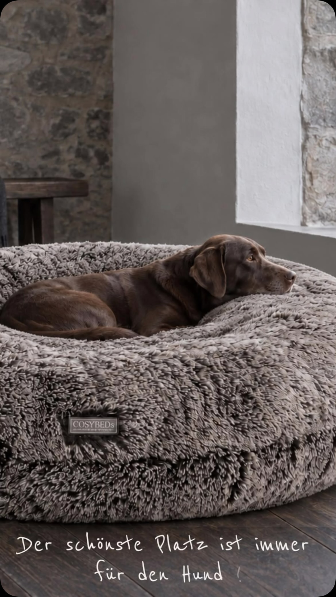 Der schönste Platz ist immer für den Hund.
Geht es Euch nicht auch so? Der Hund hat es sich auf dem Sofs auf Deinem Lieblingsplatz gemütlich gemacht und ihr habt es nicht mehr bequem? Hauptsache der Hund liegt gut ! 🤣.
Ach Schatz, lass ihn doch da liegen, er schläft doch gerade so schön.
Und zur Not kann man ja auch mal neben dem Sofa auf dem Boden sitzen 😜 Hauptsache dem Hund geht es gut.
Und bei Euch so ?
#cosybed #orthopädischeshundebett #hundebett #labrador #hundebettenmanufaktur