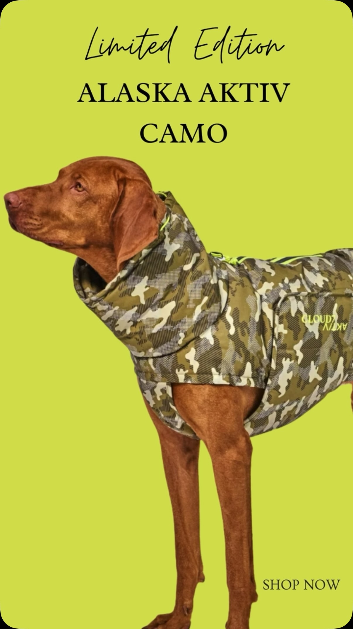 ! Limited Edition !
••••••••••••••••••
Der neue Alaska AKTIV in Camo liegt bereits in unserem Store und Onlineshop.
Sichert Euch schnell Euren Lieblingsmantel!
ALASKA AKTIV CAMO - Limited Edition
Extra warmer Hundemantel in Camouflage Muster mit reflektierendem Print und hoher Wasserdichtigkeit.
Die passende Leckerlietascve sowie einen rosa Body Bag findet Ihr auch bei uns dazu.
#hundemantel #cloud7 #alaska #aktivcamo camouflag